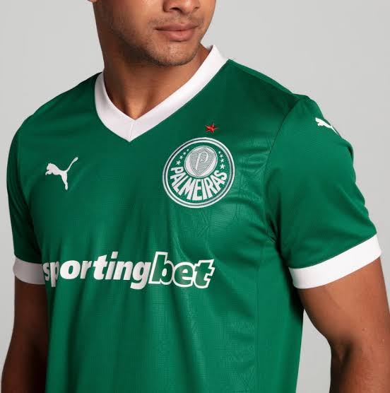 Palmeiras Home 25/26 Torcedor Puma Masculino - Verde