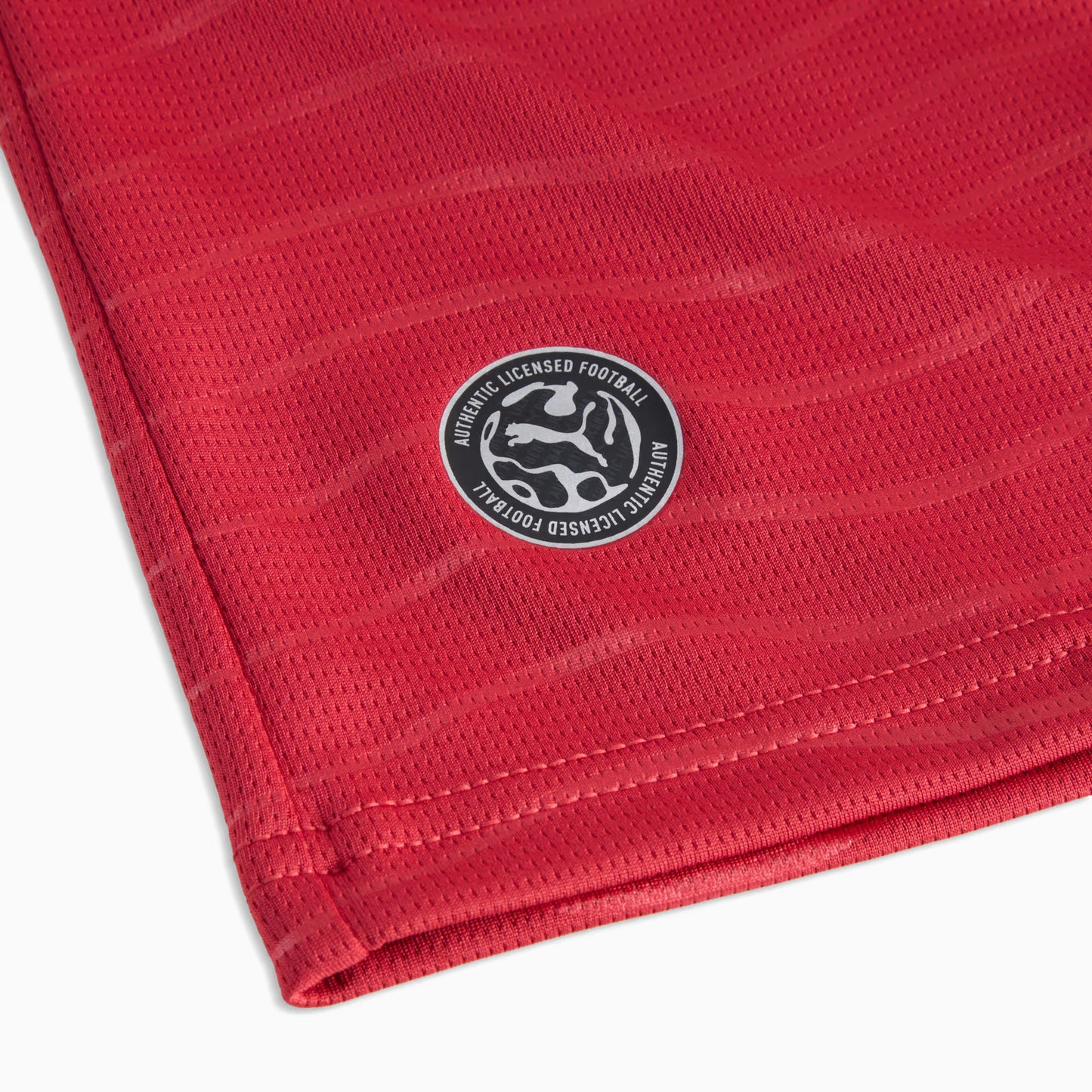 Portugal Home 26/27 Masculina Torcedor Puma - Vermelha