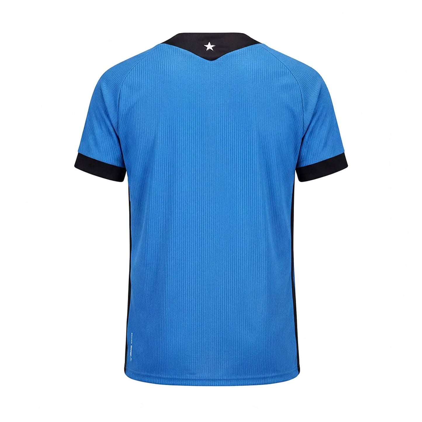 Botafogo Goleiro 26/27 Torcedor Mizuno Masculino - Azul