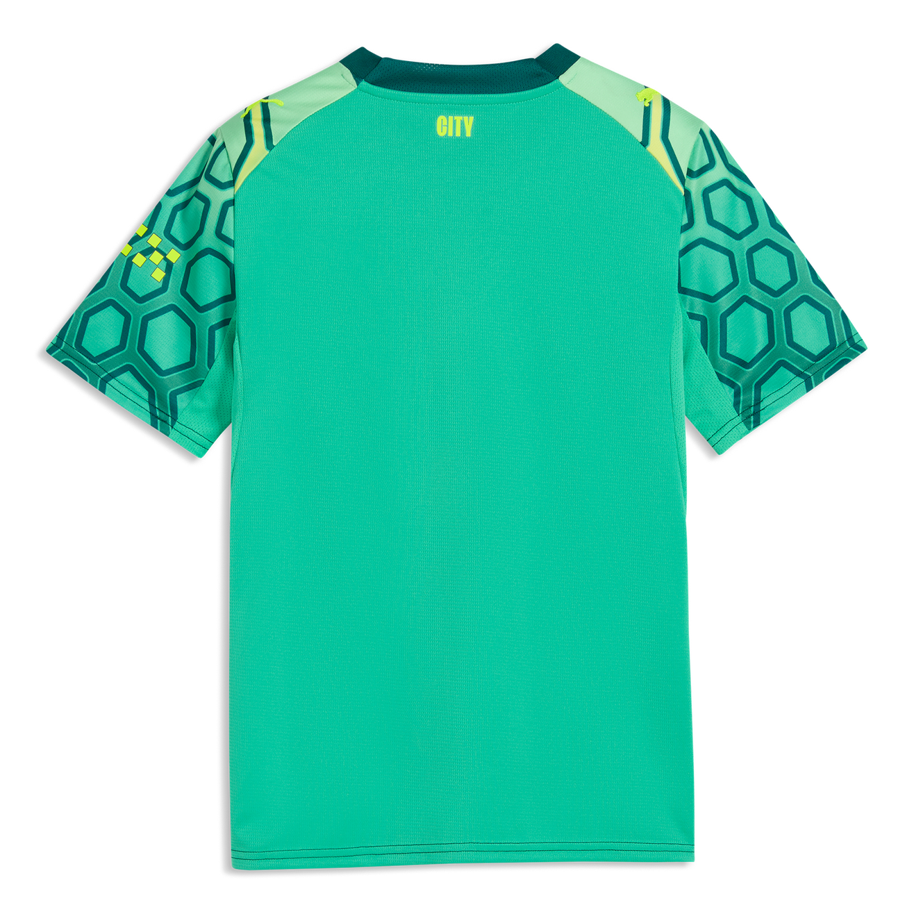 Manchester City Goleiro 26/27 Torcedor Puma - Verde