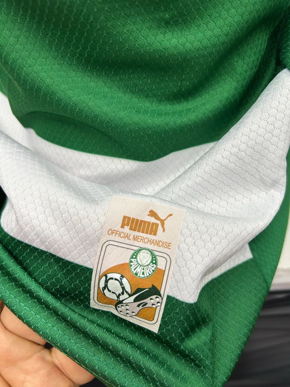 Palmeiras  Fourth 25/26 Torcedor Puma Masculino - Verde e Branco