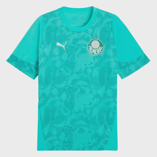 Palmeiras Treino 26/27 Masculino Torcedor Puma - Verde