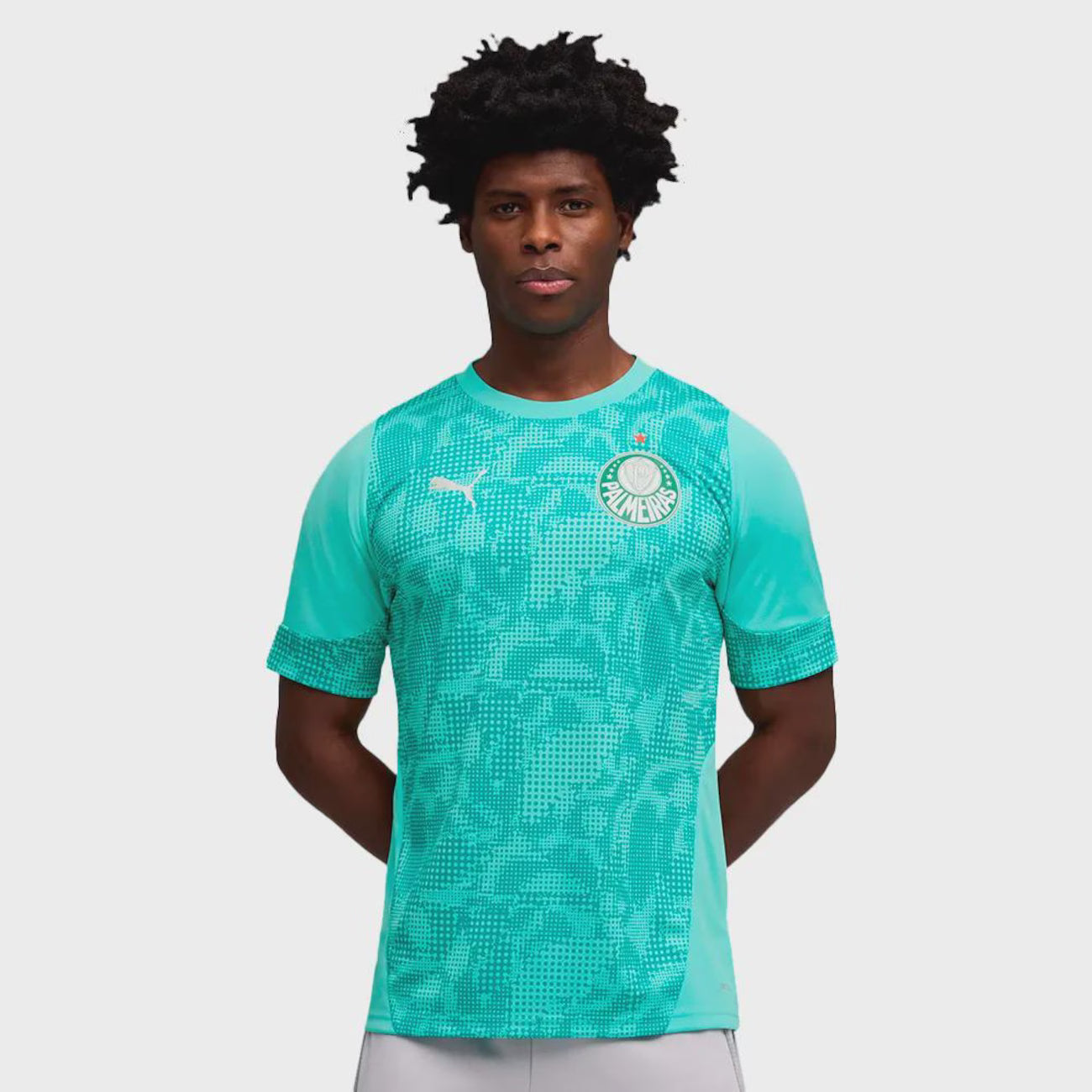 Palmeiras Treino 26/27 Masculino Torcedor Puma - Verde