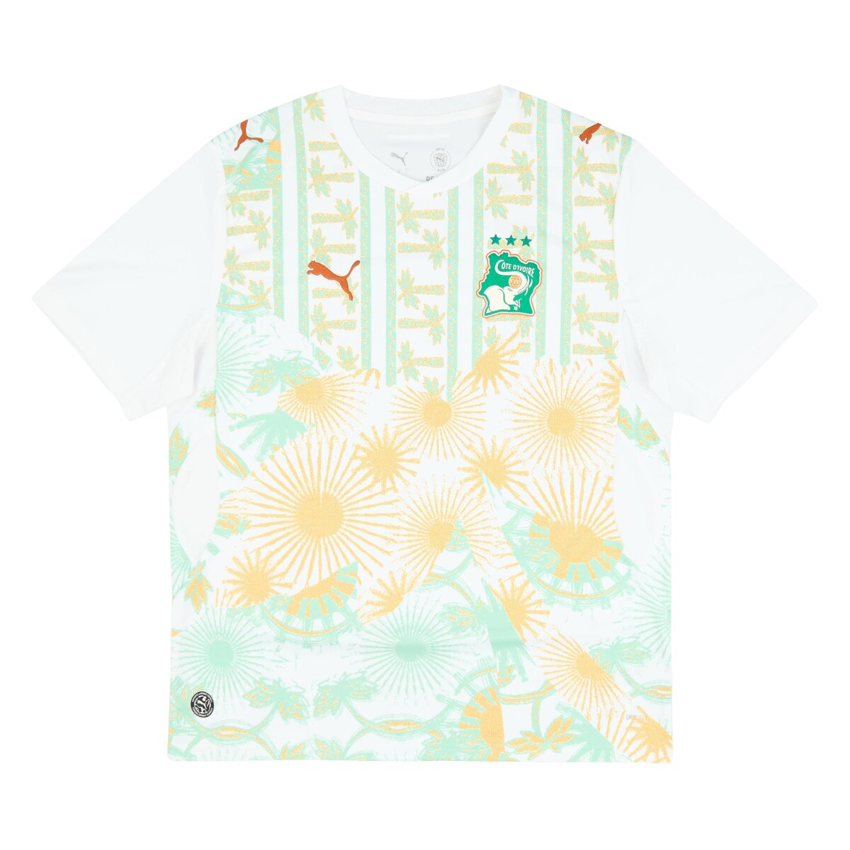 Costa do Marfim Away 26/27 Torcedor Puma - Colorida