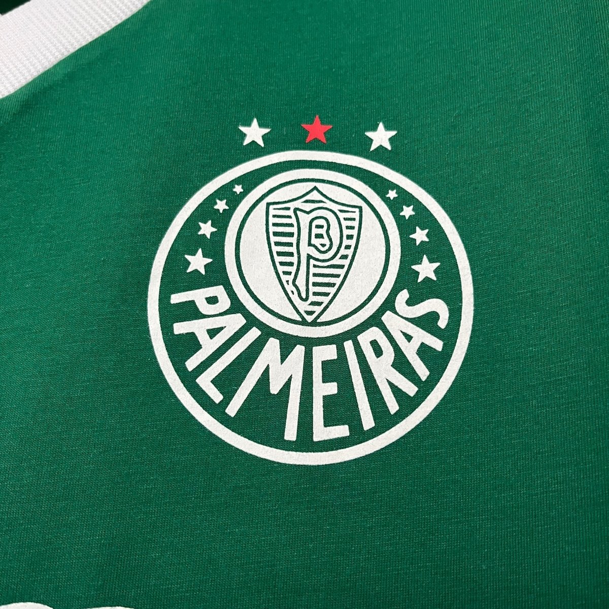 Palmeiras Retro 1989 Torcedor Coca Cola Masculino - Verde