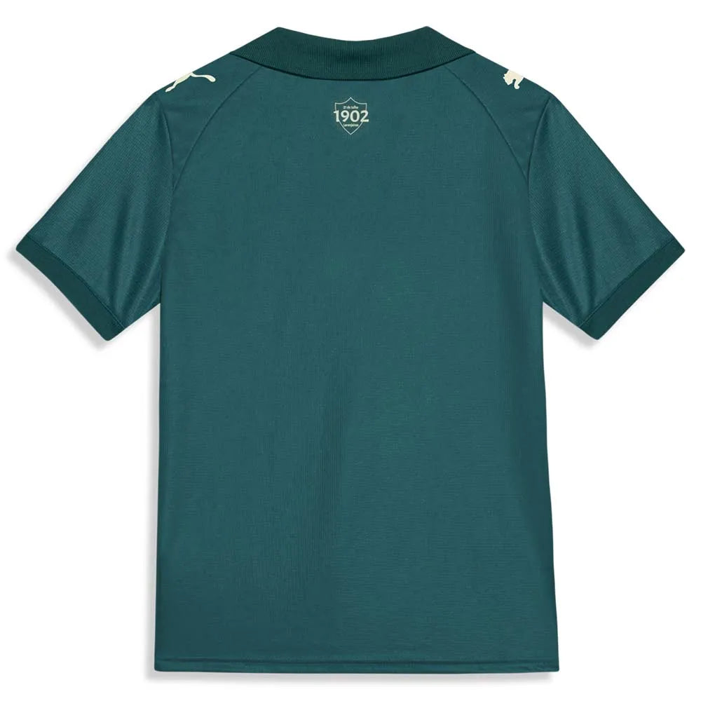 Fluminense Third 26/27 Puma Torcedor Masculino - Verde