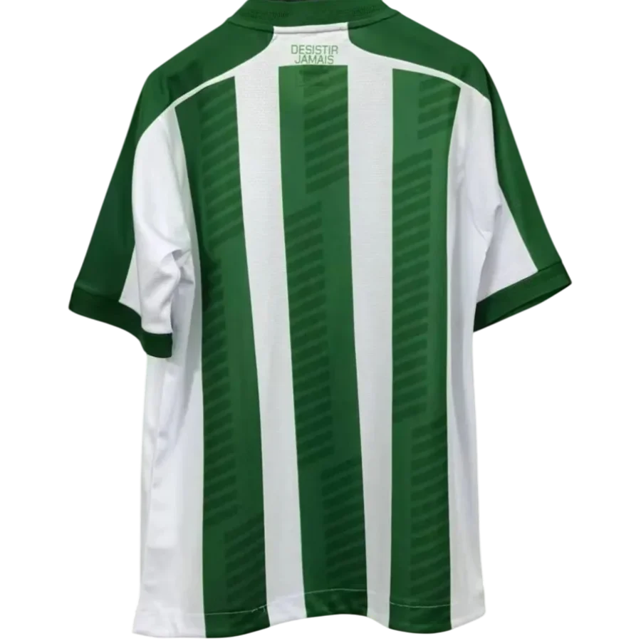 Juventude Home 25/26 Masculino -  Branco e Verde