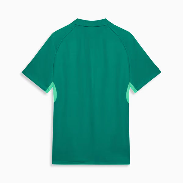 Palmeiras Edição Especial Evostripe Polo 26/27 Masculino Torcedor Puma - Verde
