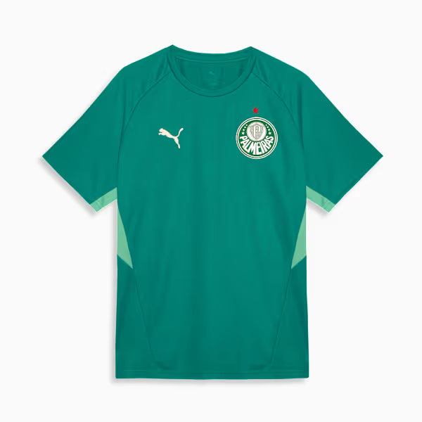 Palmeiras Edição Especial Evostripe 26/27 Masculino Torcedor Puma - Verde