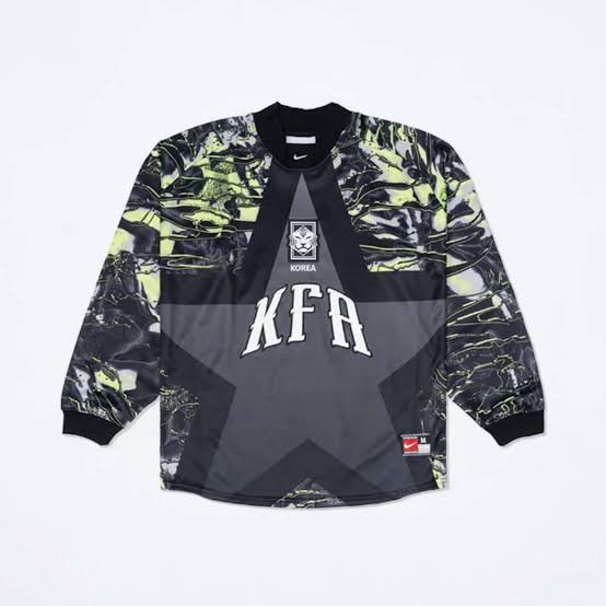 Coreia Do Sul Goleiro Manga Longa 26/27 Torcedor Nike - Cinza e Verde