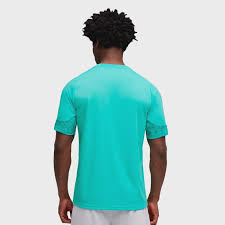 Palmeiras Treino 26/27 Masculino Torcedor Puma - Verde