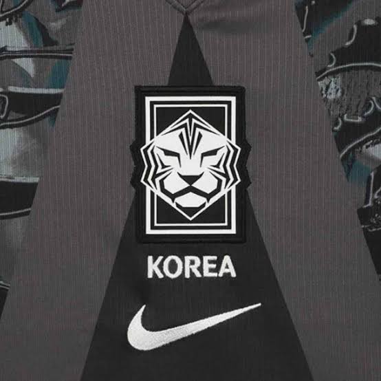 Coreia Do Sul Goleiro Manga Longa 26/27 Torcedor Nike - Cinza e Verde