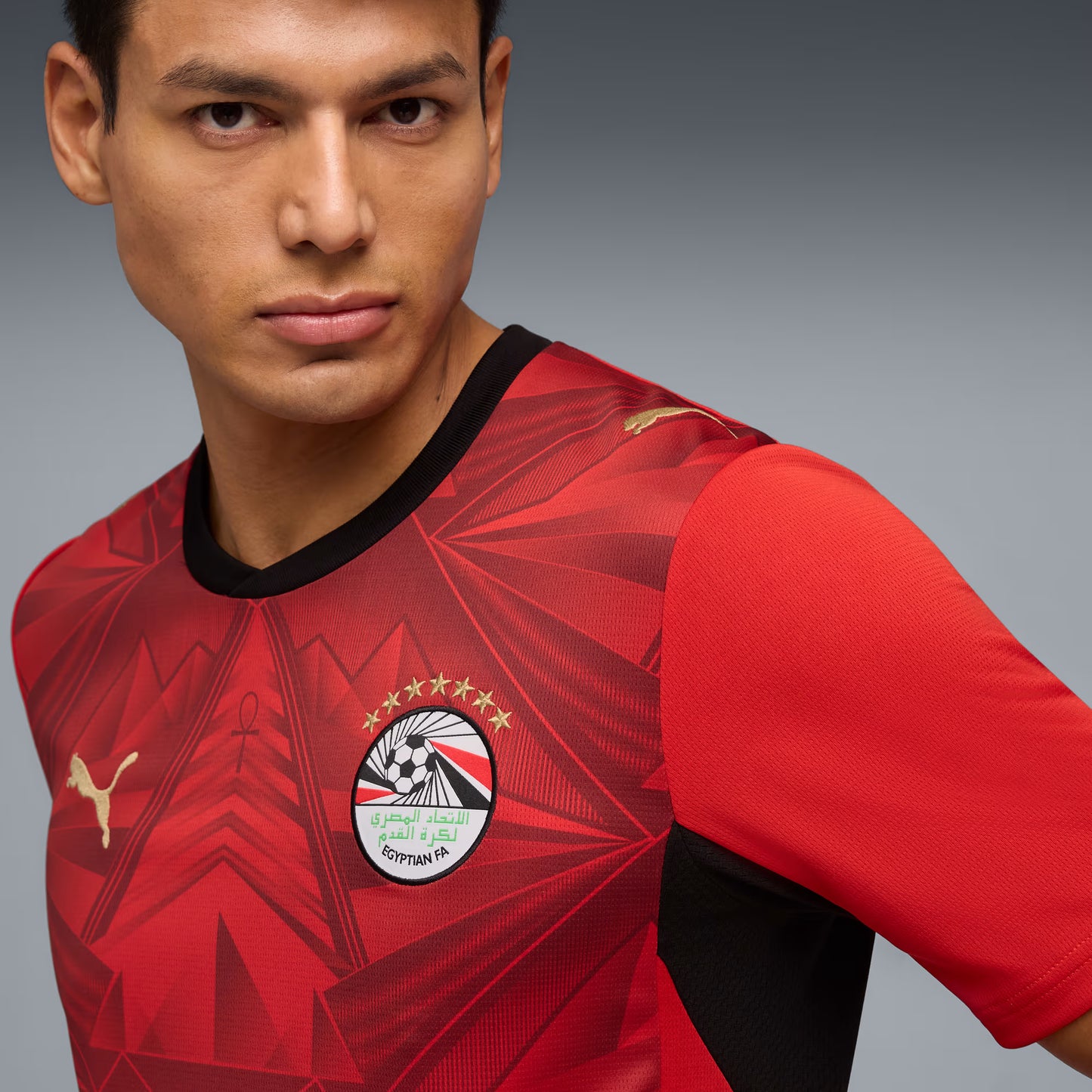 Egito Home 26/27 Masculino Torcedor Puma - Vermelho