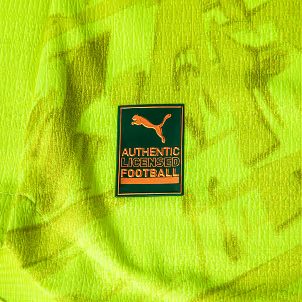 Palmeiras Goleiro 26/27 Jogador Puma - Verde